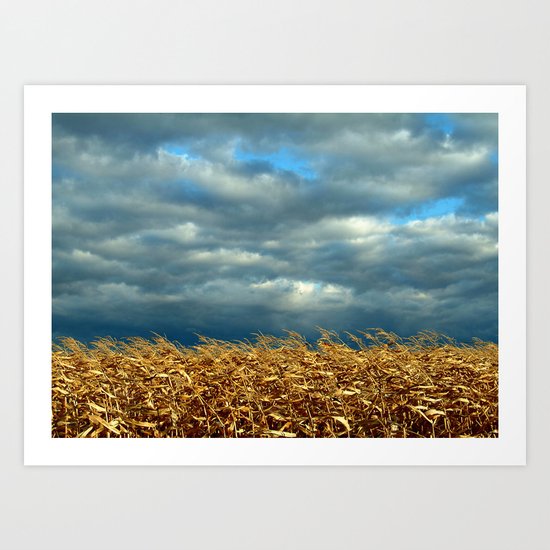 'CORN FIELD' Art Print
