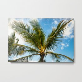 Palm Tree in the Sky Metal Print