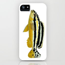 Malawi Iphone Cases To Match Your Personal Style Society6