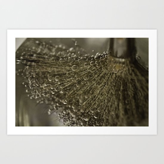 Bubbles Art Print