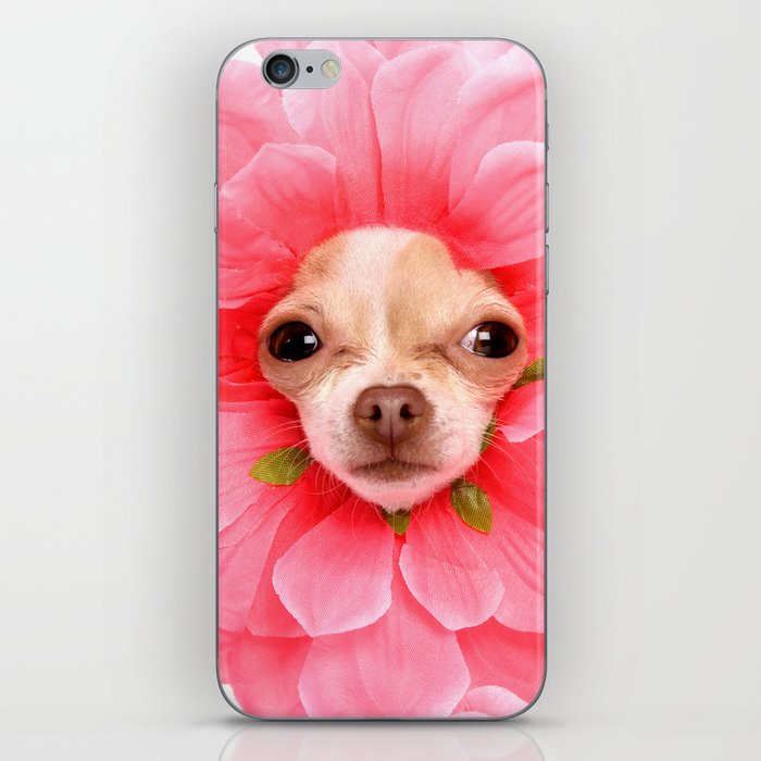 Chihuahua Flower iPhone Skin