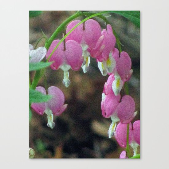 Hearts Canvas Print