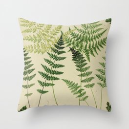 Botanical Ferns Throw Pillow