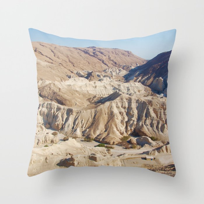 Desert landscape Throw Pillow