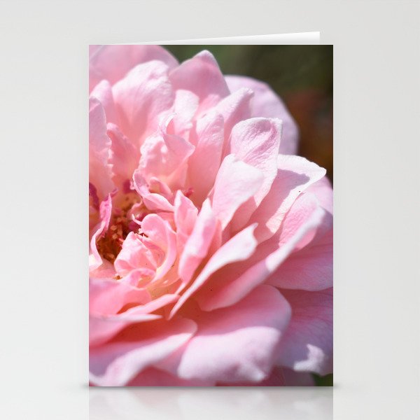 Rose Delight Stationery Cards