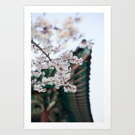 Blossoms Near the Bell, Seoul Korea Art Print
