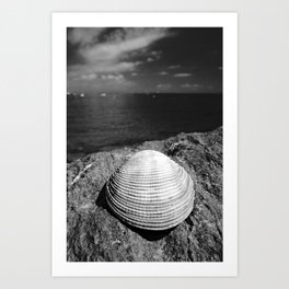 Seascape with shell, isla Taboga, Panama Art Print