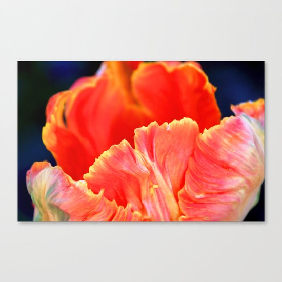 Fire orange bloom Canvas Print