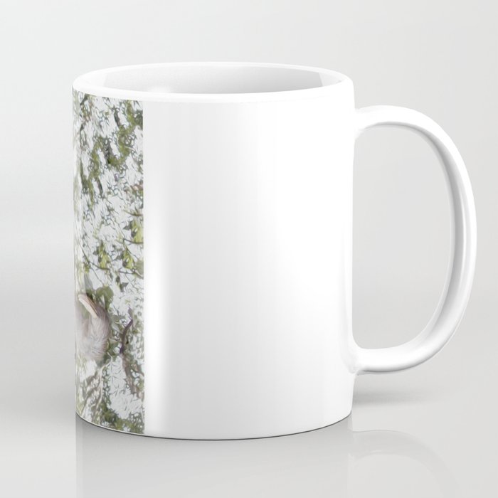 Sloth, A Real Tree Hugger Coffee Mug