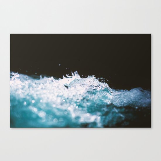 Soaked II Canvas Print