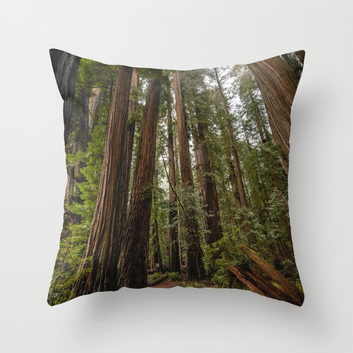 Redwood Forest Adventure VII - Nature Photography Throw Pillow