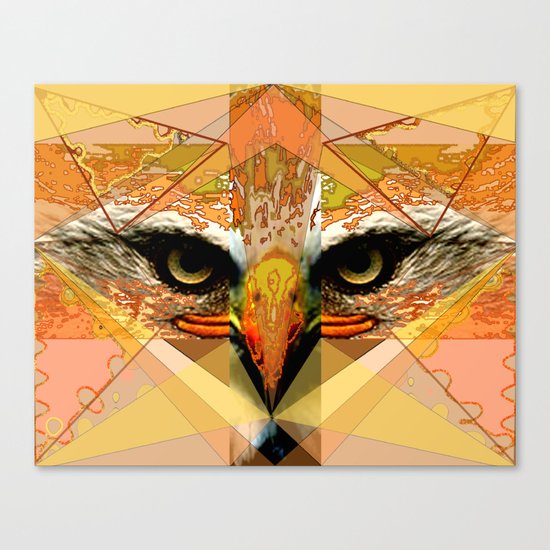 Eagle Eyes Canvas Print