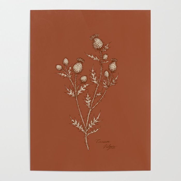 Thistle in Autumn Poster
