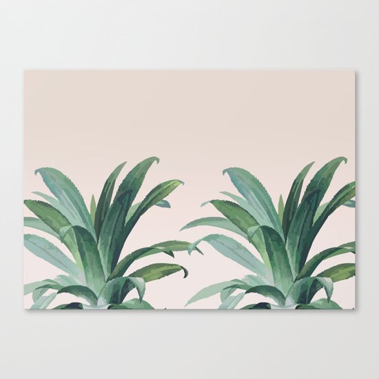 Aloe Canvas Print