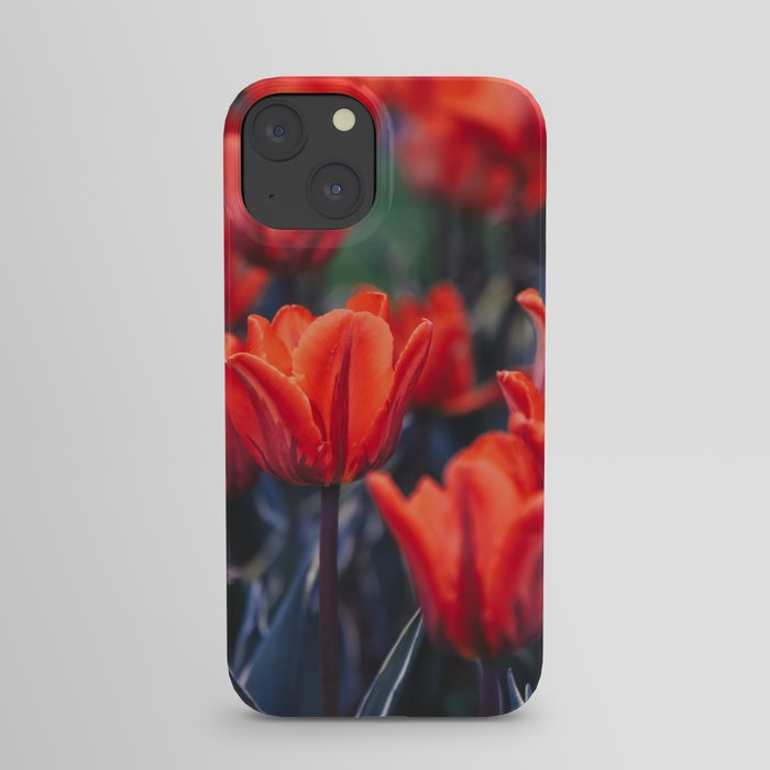 Flowers in the Park  iPhone Case