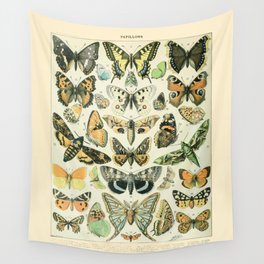 Vintage Butterfly Diagram // Papillions by Adolphe Millot 19th Century Science Textbook Artwork Wall Tapestry