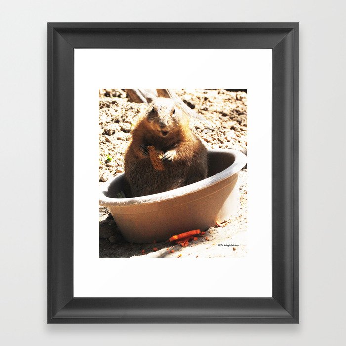 A Bowl Of Groundhog And Veggies Framed Art Print