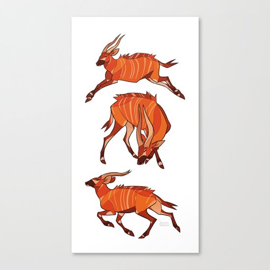 Bongo Antelope Canvas Print