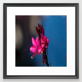 flower Framed Art Print | Photo, Collage, Nature, Digital 