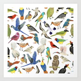 Endangered Birds Around the World Art Print
