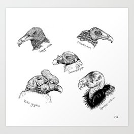 Vultures Art Print
