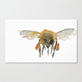 Bee3 Canvas Print