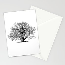 oak tree botanical no2 Stationery Card