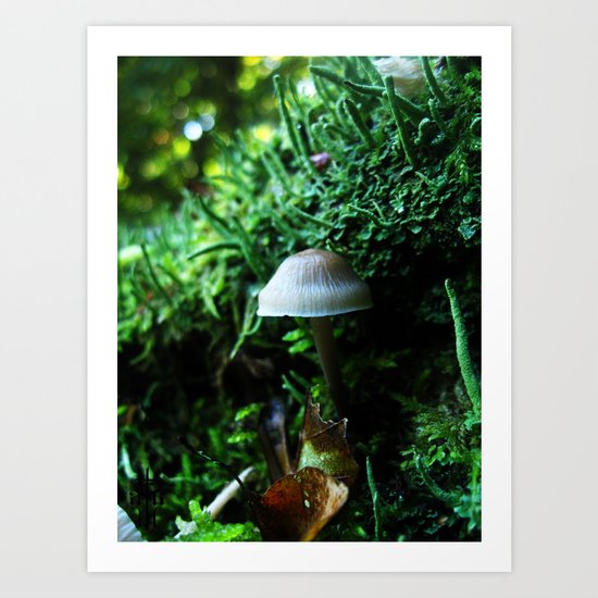 Magical Nature Art Print