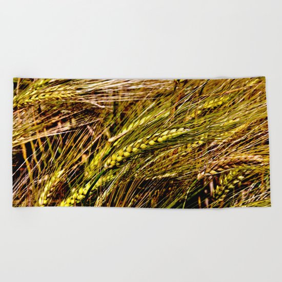 Golden Wheat Field Beach Towel