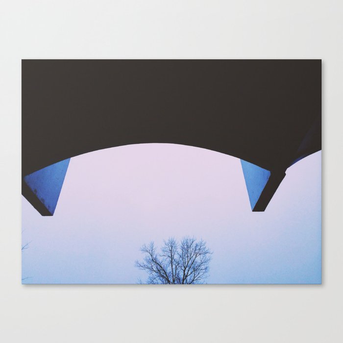 Curve and tree top. Canvas Print