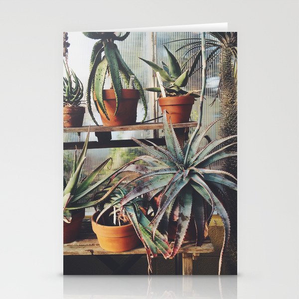 Cactus Wall Stationery Cards
