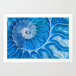 Blue colored Ammonite fossil Art Print