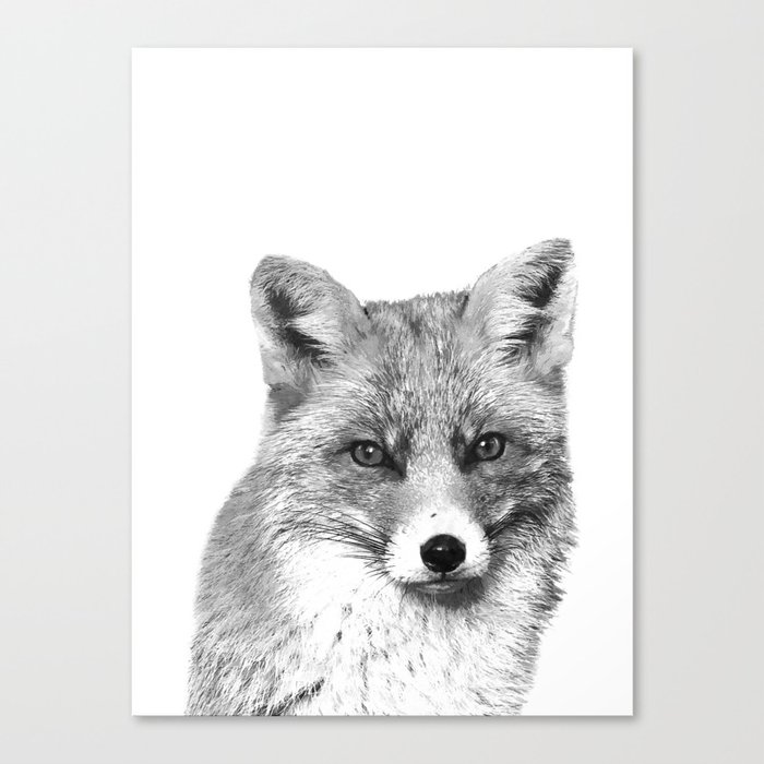 Black and White Fox Canvas Print