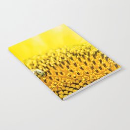 Honey Bee And Sunflower Notebook