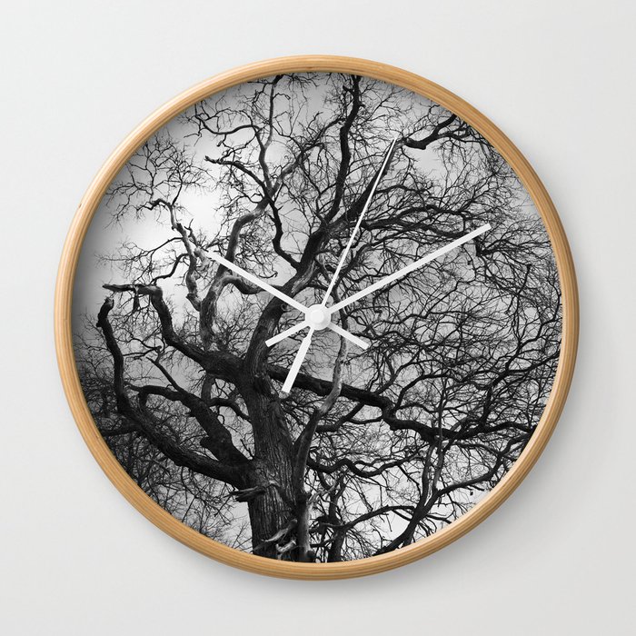 Old oak tree. Moscow district. Wall Clock