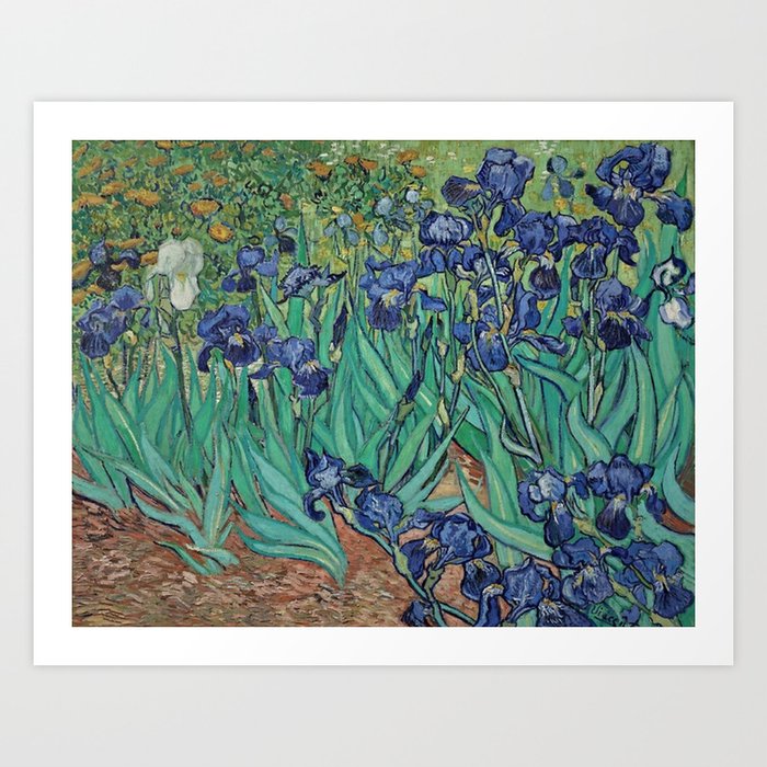 Vincent Van Gogh Irises ,( 1889 - 1890) Art Print