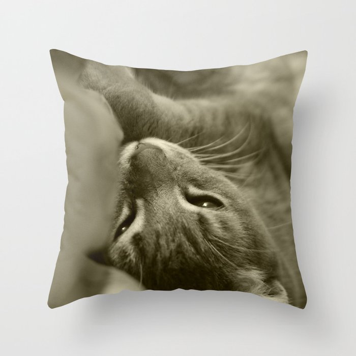 Cozy Cat, Pear-Flower Throw Pillow