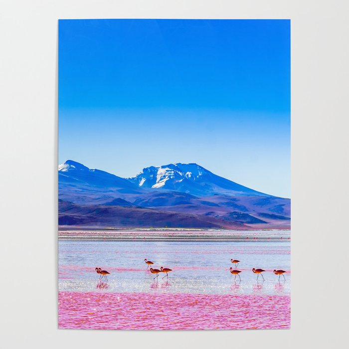 Pink Flamingos at Laguna Colorada in Bolivia Poster
