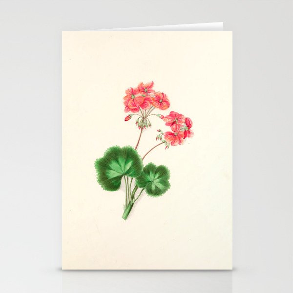  Geranium by Clarissa Munger Badger, "Floral Belles," 1866 (benefitting The Nature Conservancy) Stationery Cards