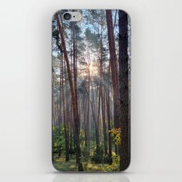 Sunny Forest iPhone Skin
