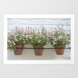 Soft pink flowers - dutch terracotta pots - floral nature and travel photography Art Print