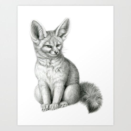 Fennec SK042 Vulpes zerda Art Print