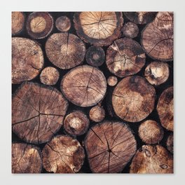 The Wood Holds Many Spirits Canvas Print