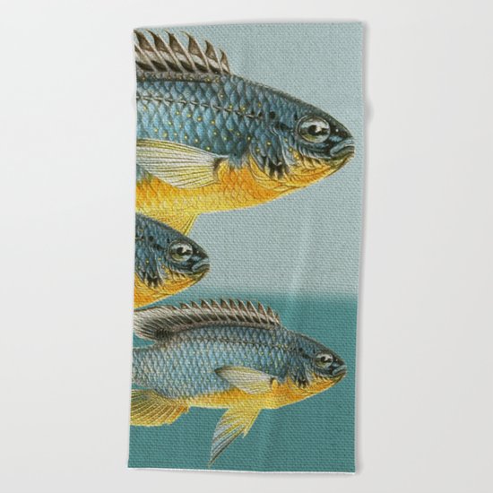 Fish Classic Designs 12 Beach Towel