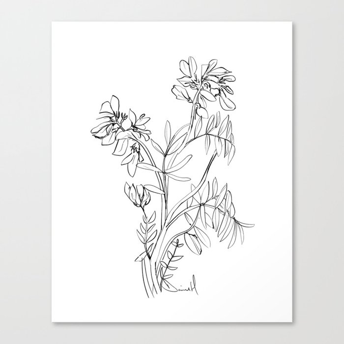 Canvas Print