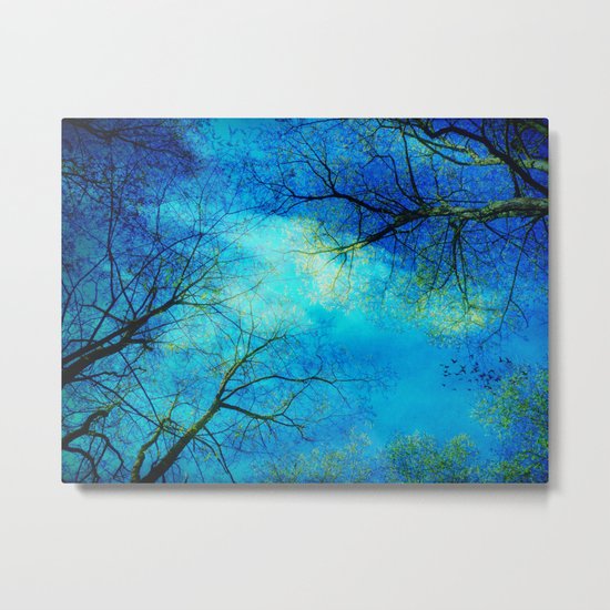 A new day Metal Print