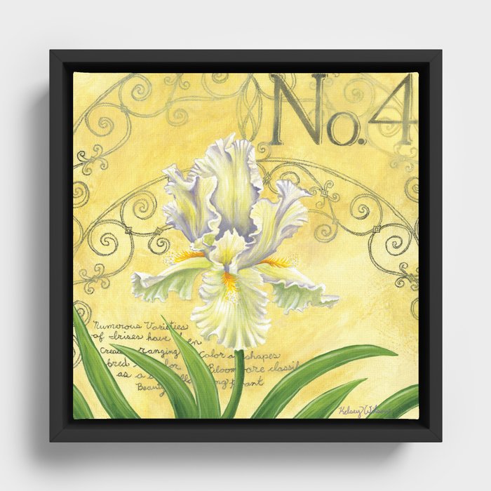 White Iris Framed Canvas