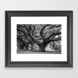 Majestic Oak Trees Framed Art Print