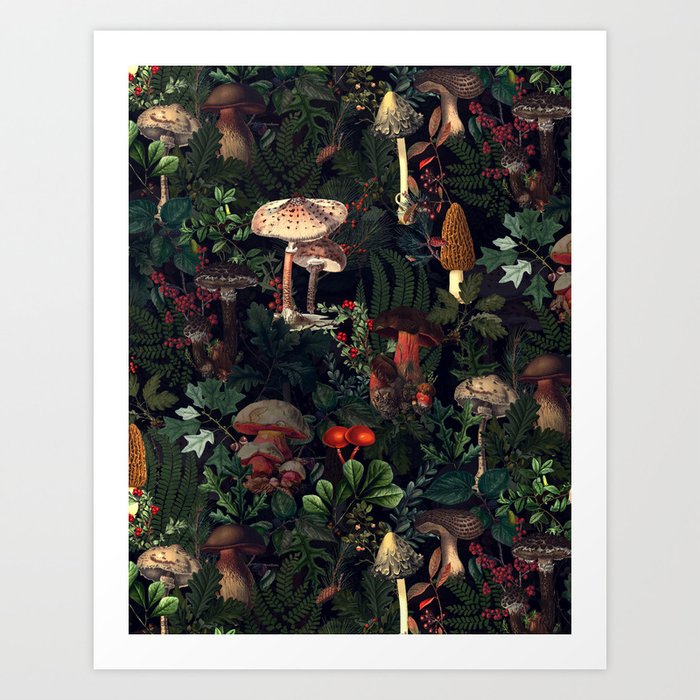 Vintage Autumnal Fungi Mushrooms Night Paradise  Art Print