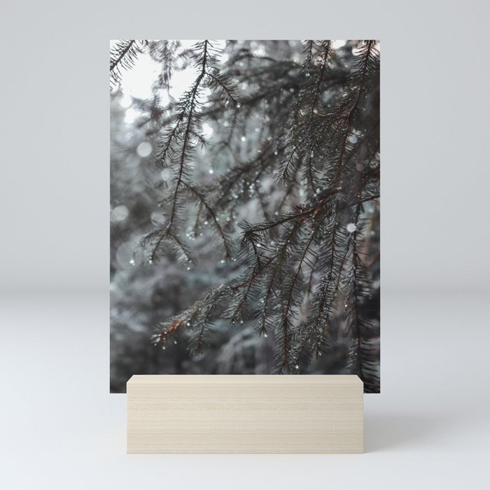 Frosted Tips Mini Art Print